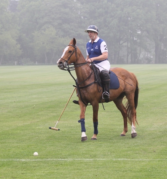 Polo_Art   074.jpg